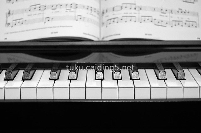 黑白钢琴键盘与乐谱 音乐艺术图片素材