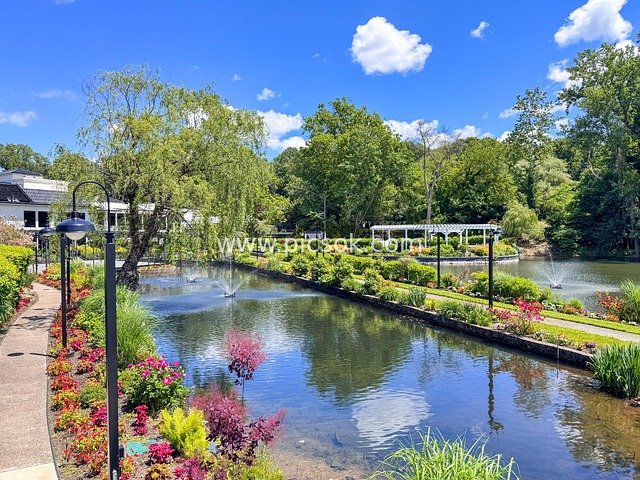 纽约长岛天鹅俱乐部花园池塘美景