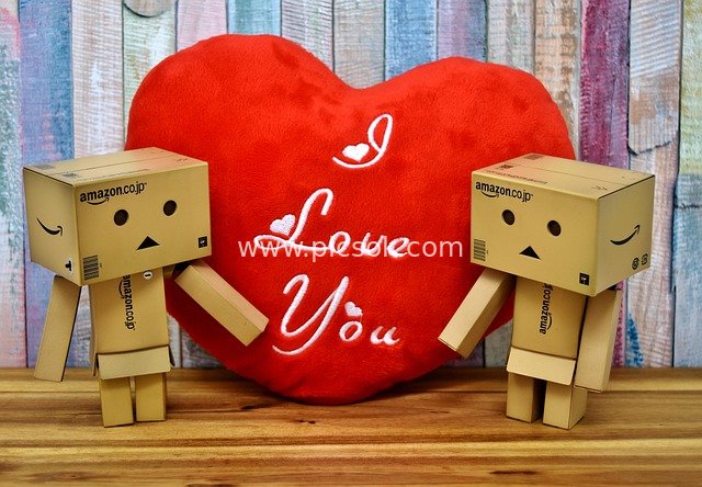 Danbo Cardboard Figures with Heart-Shaped Cushion: Romantic Cute Valentine's Day Scene