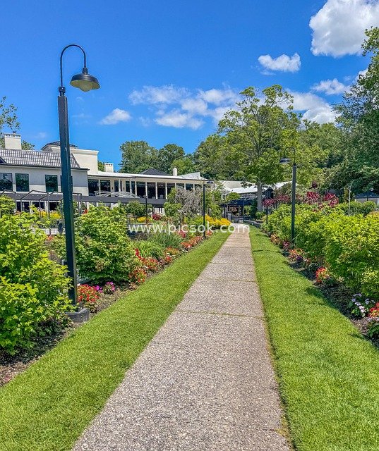 长岛天鹅俱乐部花园小径夏日风光