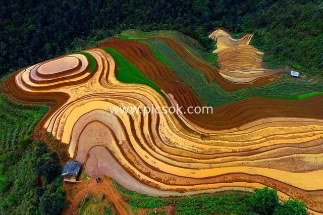 Aerial View of Vietnamese Terraces: A Vibrant Mountain Farming Landscape