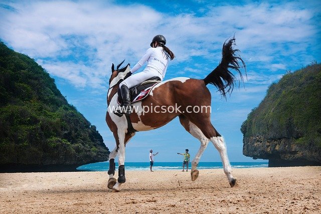 Girl Riding a Horse on the Beach: A Cozy Moment Among Blue Seas, Clear Skies and Rocks