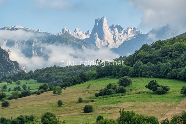 Natural Beauty of Green Meadow Beneath Cloud-Shrouded Mountains