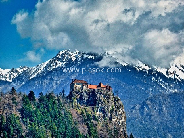 Red-Roofed Castle atop Alpine Peaks: Stunning Forest & Snowy Mountain Views