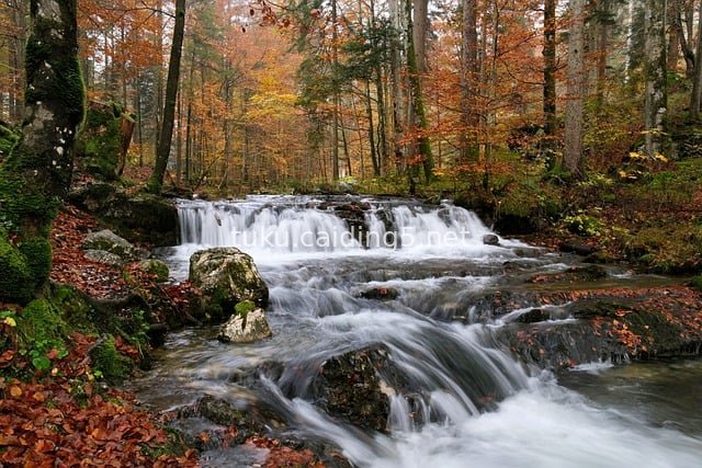 秋日森林溪流瀑布自然风景摄影素材