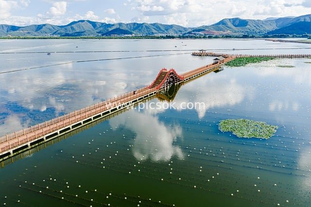 航拍湖泊木桥湿地景观 夏日自然山水清新风光