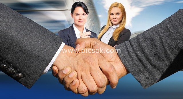 Business Handshake: Workplace Elites Reaching an Agreement