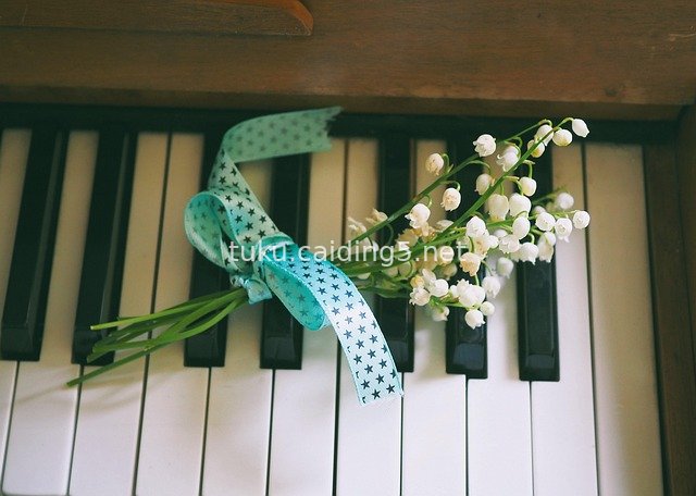 钢琴键上的铃兰蓝丝带 浪漫音乐花束场景
