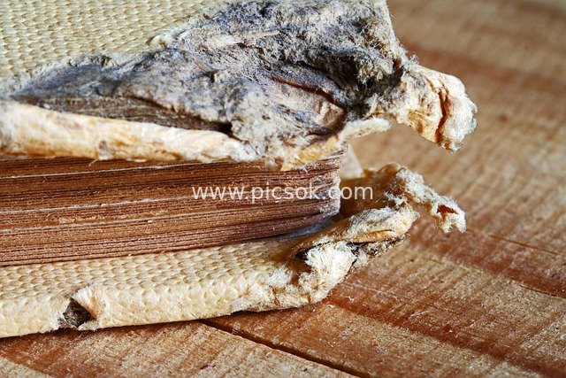 Close-up of Damaged Corner of an Old Book: Worn Cover and Yellowed Pages