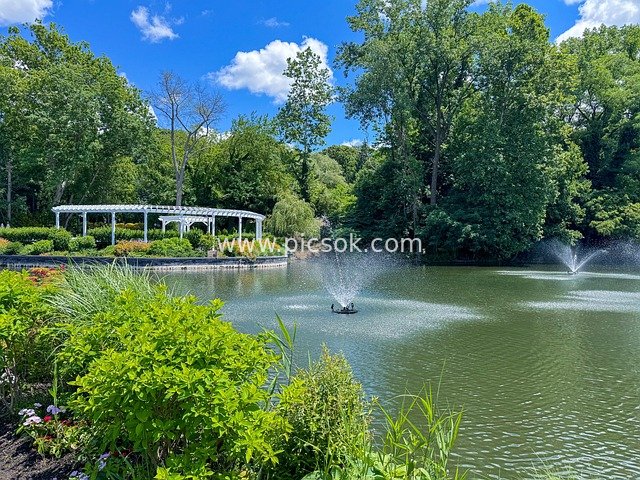 纽约长岛天鹅俱乐部花园池塘夏日美景
