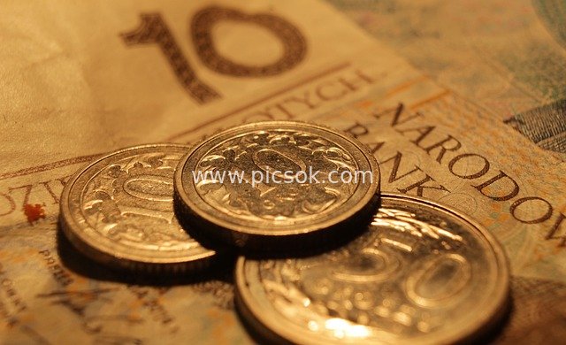 Close-up of Coins and Banknotes: Wealth Scene of Financial Currency