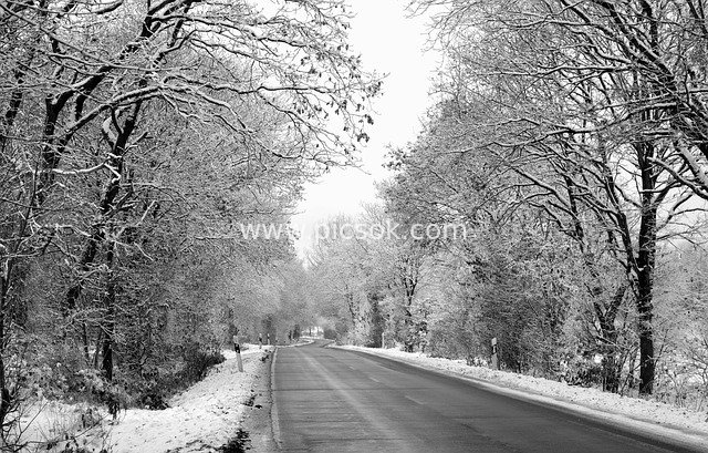 冬日乡村雪景公路 黑白静谧自然风景