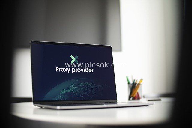 Proxy Service Provider: Laptop Demonstrating Proxy Technology Scenario