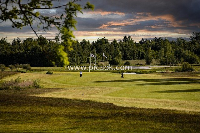 golf course, golf, golf club, sunset, nature, outdoors, activity