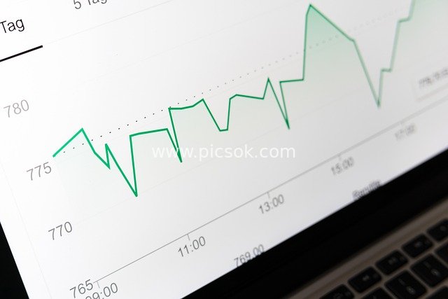 Financial Stock Market Line Chart on Computer Screen