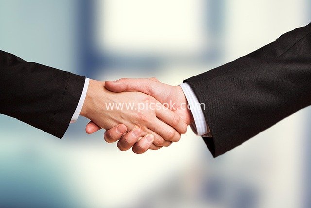 Business Suit Handshake: Moment of Reaching a Cooperation Agreement