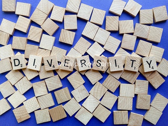 Multicultural Theme Material: Wooden Blocks Spelling 'DIVERSITY'