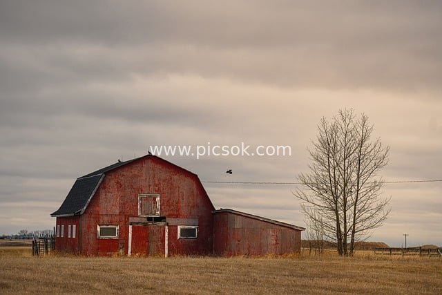 Red Old Barn in Rural Fields: Abandoned Farm Building Landscape