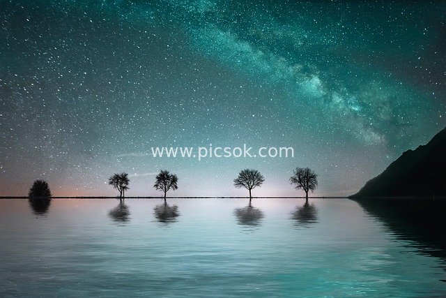 星空夜晚湖岸树影 梦幻山水风景素材