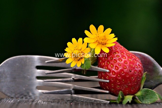 叉子上的鲜红草莓与黄色小花特写