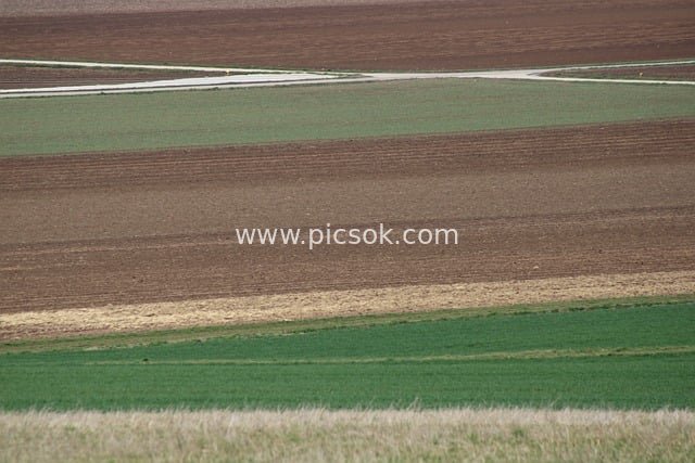 Tranquil Rural Fields with Colorful Patches and Intersecting Lines