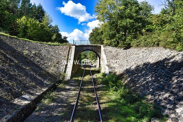 Natural Landscape of Railway Tracks Under a Stone Arch Bridge in the Woods