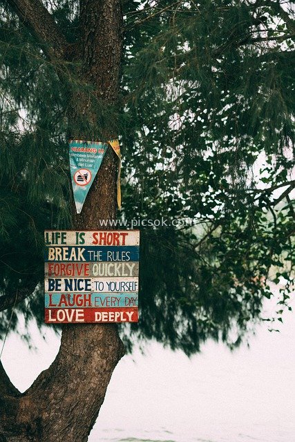 Coastal Tree with Inspirational Slogans: A Healing Natural Scene for Summer Vacations