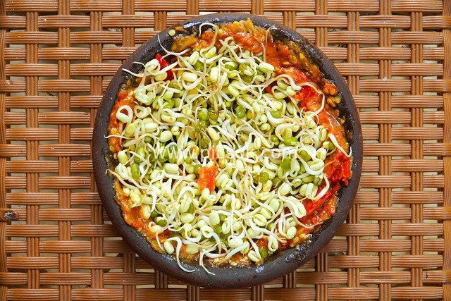 香辣豆芽番茄传统中式美食特写素材图