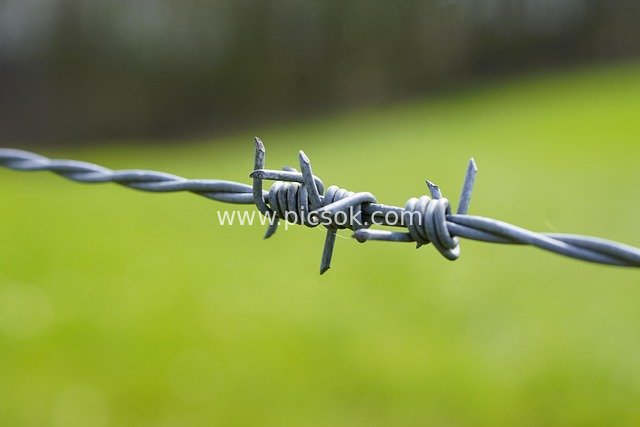 Close-up of Metal Barbed Wire Security Fence