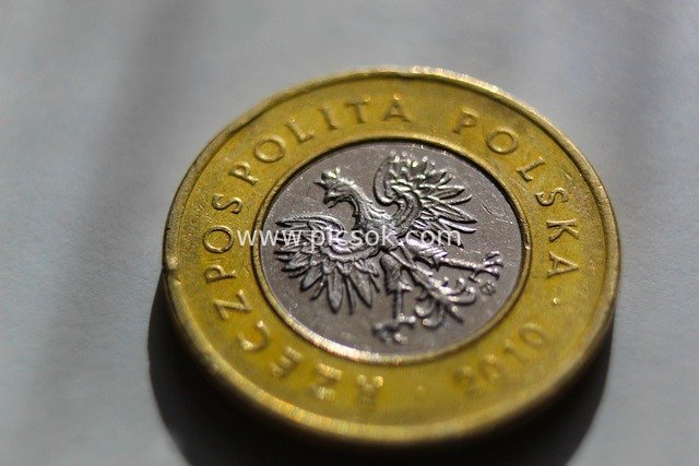 Close-Up of Polish Bi-Color Coin - Financial Currency Material Image