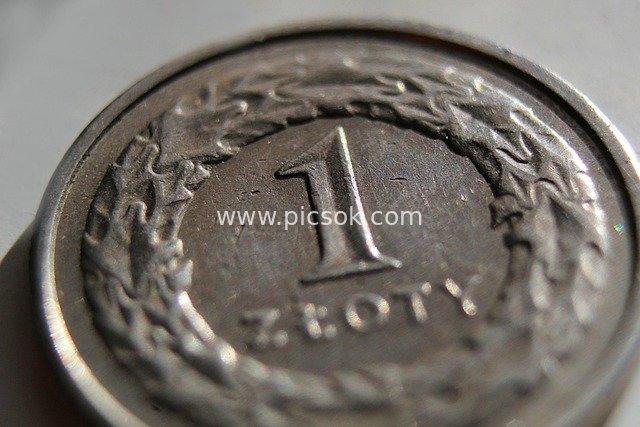 Close-up of Polish 1 Złoty Coin - Financial Currency Stock Photo
