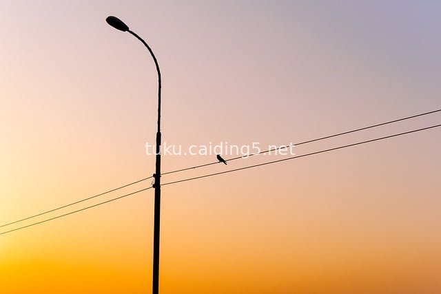Street Lamp and Bird Silhouette at Sunset | Outdoor Natural Landscape Material for Dusk