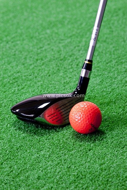 Close-Up of Golf Club and Red Ball on Lush Green Turf