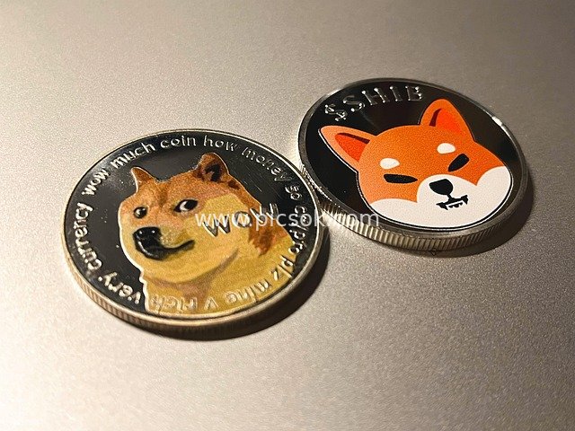 Detailed Showcase of Dogecoin and Shiba Inu Coin Cryptocurrency Commemorative Coins
