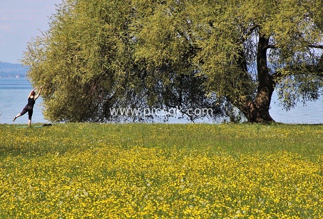 Yoga on a Lakeside Meadow in Spring: Healthy Outdoor Stretching & Relaxation