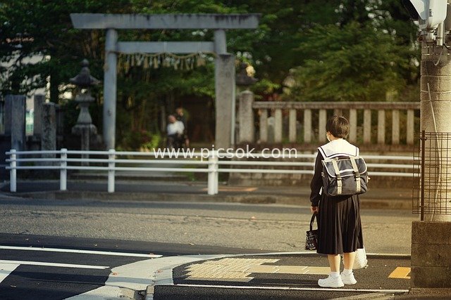 Daily Moment of Japanese JK Schoolgirl at a Street Intersection in Front of a Shrine