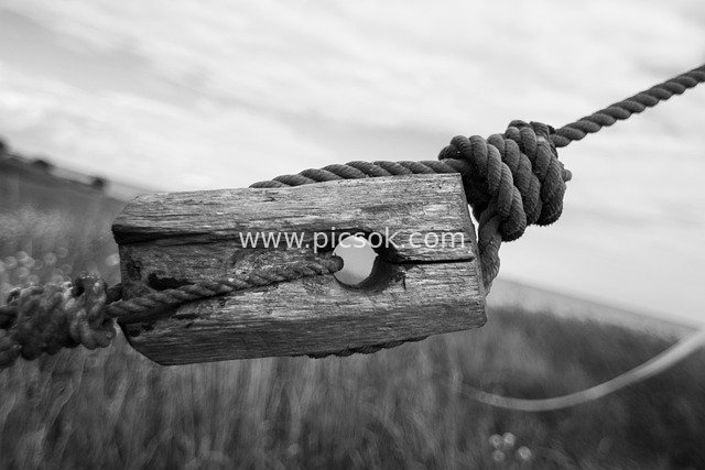 Black and White Close-up of Rope Knot & Wooden Peg Details in Swedish Outdoor Scene