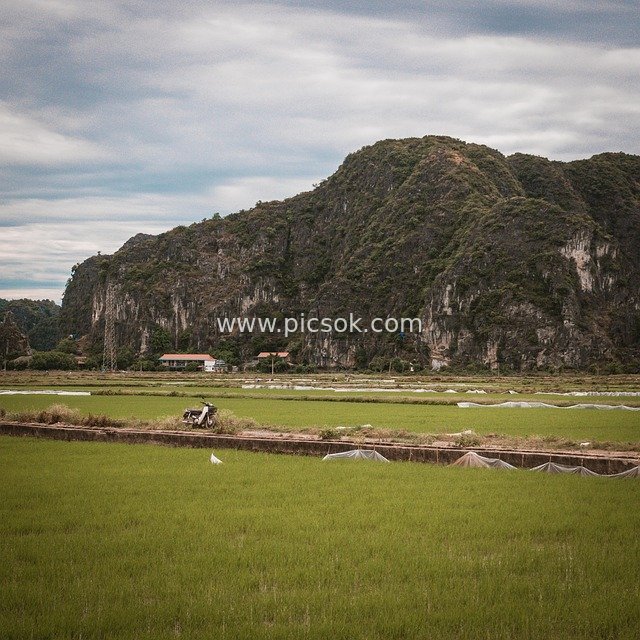 Rural Natural Landscape of Vietnamese Rice Fields and Karst Mountains