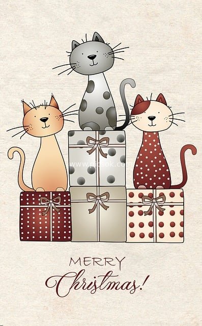 可爱卡通猫与圣诞礼物盒 温馨圣诞贺卡素材