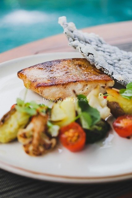 香煎三文鱼配烤蔬菜 户外精致美食