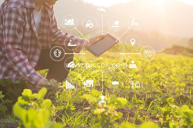 Application Scenarios of Smart Agricultural Technology in Rural Fields