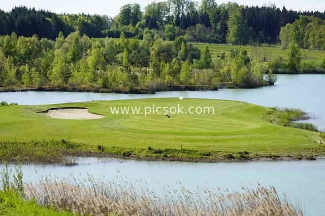 golf, sport, course, green, island green, landscape, lake