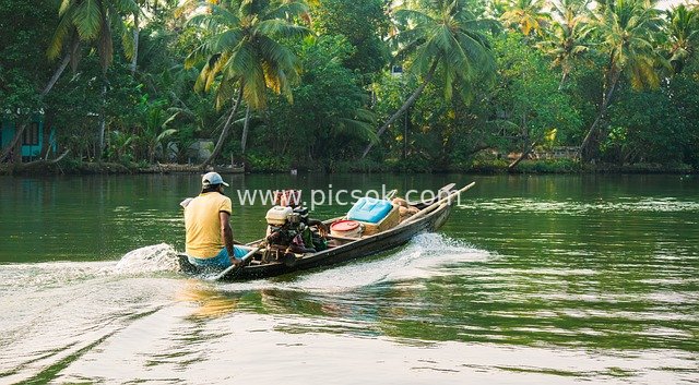 Man Navigating Boat Through Tropical Greenery in Kerala Backwaters, India