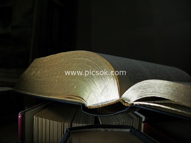 Open Book with Golden Pages - Serene Reading & Study Scene