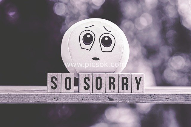 Creative Apology Material Image with Cute Sorry Emoji & Wooden Sign